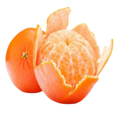 Orange (संतरा)