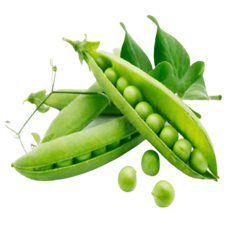 Green Peas (मटर)