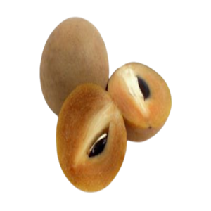 Sapodilla (चीकू)