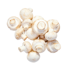 Mushroom (मशरुम)