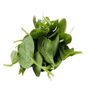 Spinach (पालक)